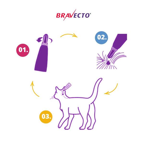 Imagem de Bravecto Antipulgas 90 Dias De Proteção Para Gatos De Porte Médio Cor Verde 1,2 A 2,8KG 112,5MG