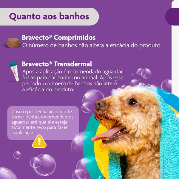 Imagem de Bravecto Antipulgas e Carrapatos 4,5 a 10kg 250mg Envio Imediato