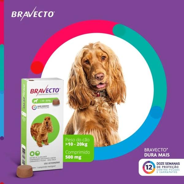 Imagem de Bravecto Antipulgas e Carrapatos para Cães de 10 a 20 kg - 1 Comprimido 500mg - MSD