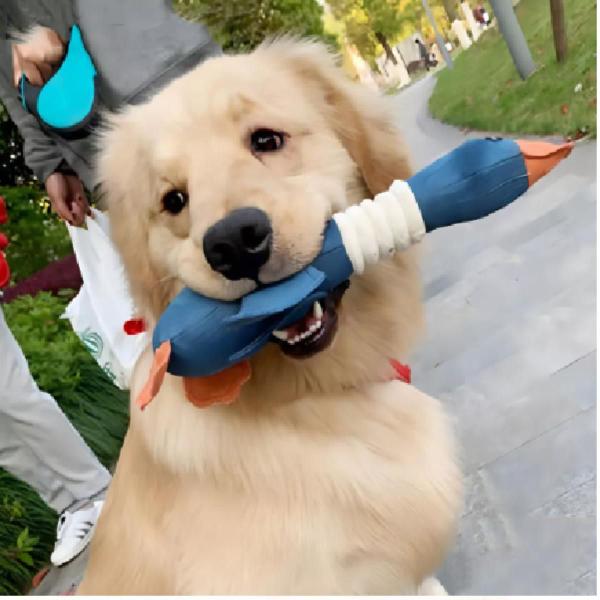 Imagem de Brinquedo Bichinho De Pelúcia Pato Ganso Cães Pet Grande Médio Porte