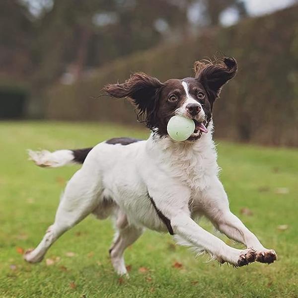 Imagem de Brinquedo Chuckit Fetch Medley Pack 3 Bolas Para Cães Pequeno