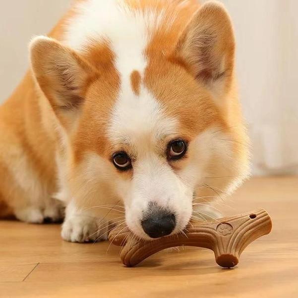 Imagem de Brinquedo De Mastigar Para Cachorro, Madeira De Pinho Durável, Resistente À Mordida, Formato De Osso