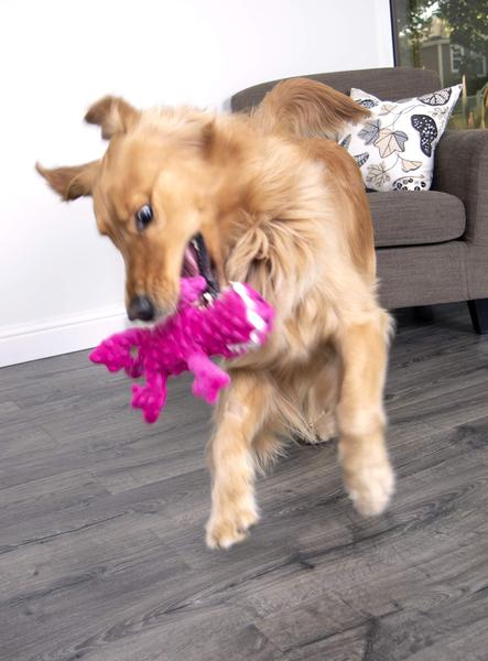 Imagem de Brinquedo de pelúcia para cães GoDog Gators Squeaky com protetor de mastigação rosa grande