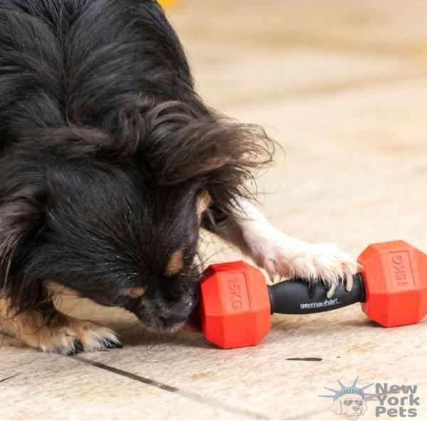 Imagem de Brinquedo HAUtere Snax Germanhart Recheavel Dispense de Ração e Petiscos Para Cães