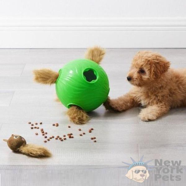 Imagem de Brinquedo Interativo Dog Snuffle NTreat Ball Outward Hound Puzzle Quebra-Cabeça Para Cães