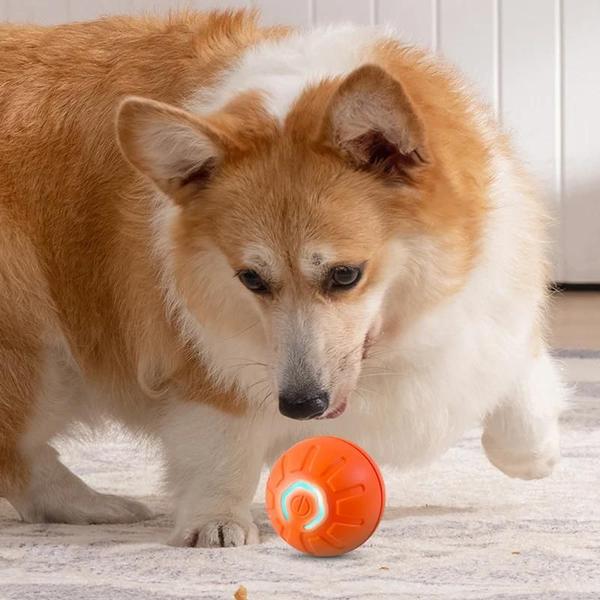 Imagem de Brinquedo Interativo para Cachorro - Bola Saltitona com USB