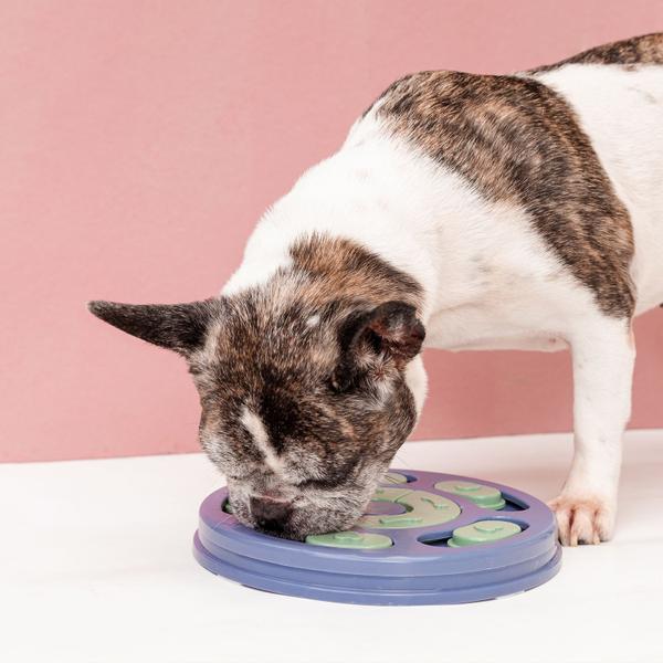 Imagem de Brinquedo Interativo Quebra-Cabeça Redondo Para Pet Oikos Animal