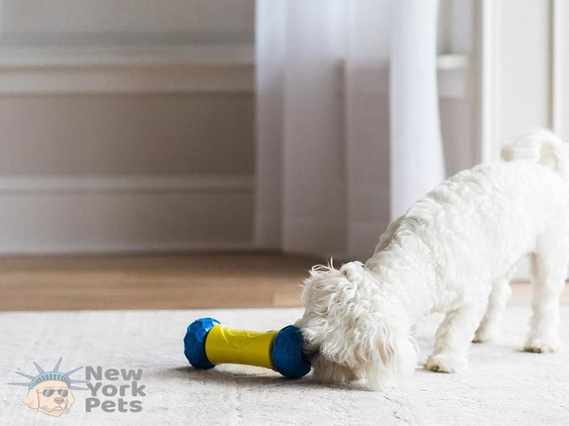 Imagem de Brinquedo JW Robo Bone Dispensador Eletrônico Interativo Libera Ração e Petiscos Para Cães e Gatos