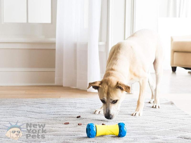 Imagem de Brinquedo JW Robo Bone Dispensador Eletrônico Interativo Libera Ração e Petiscos Para Cães e Gatos