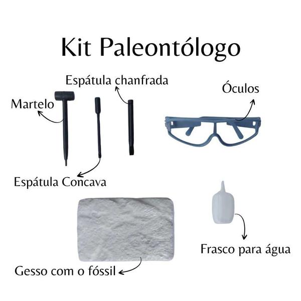 Imagem de Brinquedo Kit de Escavação Fóssil Dinossauro Arqueologia Jurassic Paleontologia