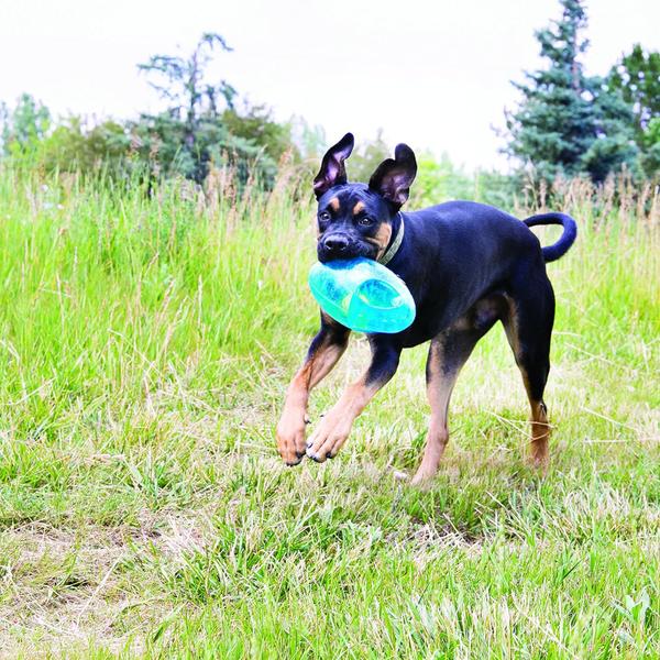 Imagem de Brinquedo Kong Bola Jumbbler Football Roxo Médio