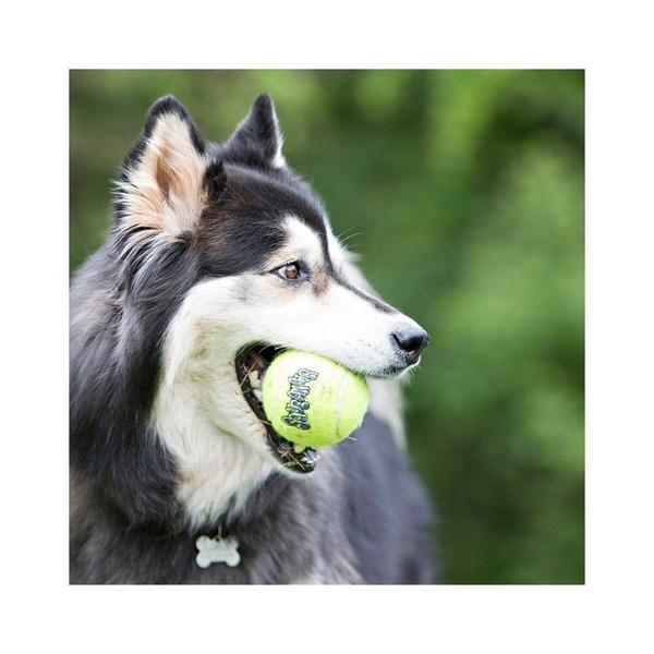 Brinquedo Kong Cães Squeaker Tennis Balls Amarelo - Tamanho M Imagem de Brinquedo Kong Cães Squeaker Tennis Balls Amarelo - Tamanho M