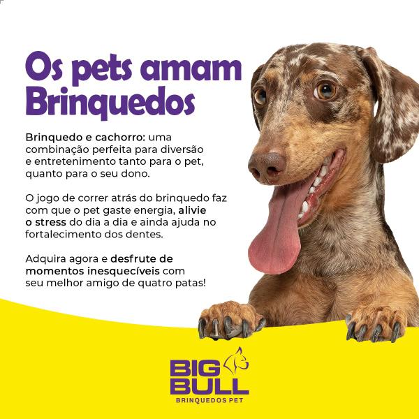 Imagem de Brinquedo Para Cachorro Ovo Borracha Pet Interativo Ovinho Indez Maciço Porte Pequeno Big Bull Pet