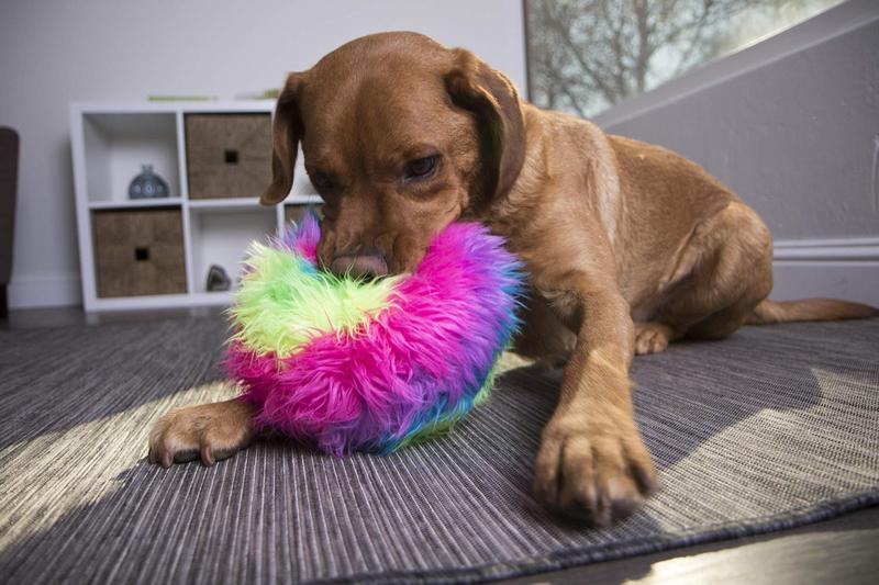 Imagem de Brinquedo para cães GoDog Furballz Squeaky Plush Ball Chew Guard Rainbow