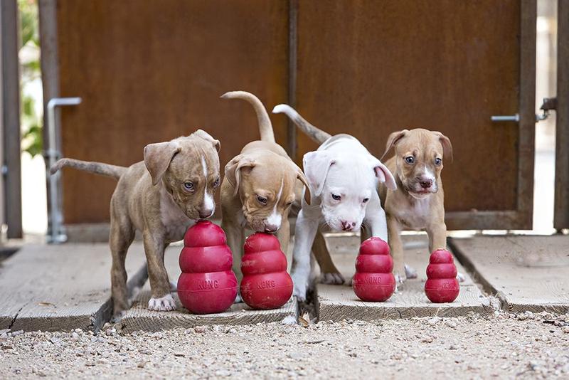 Imagem de Brinquedo para Cães Recheavel Kong Classic Small 