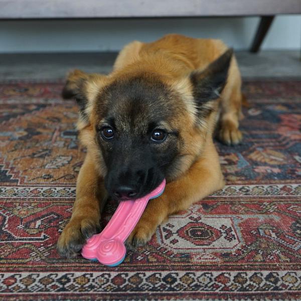 Brinquedo Para Filhotes Kong Chewstix Puppy Curved - Grande Imagem de Brinquedo Para Filhotes Kong Chewstix Puppy Curved - Grande
