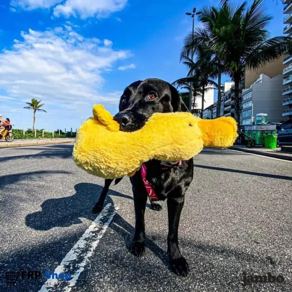 Imagem de Brinquedo Pelúcia Para Cachorros Pet Pato Com Som Grande