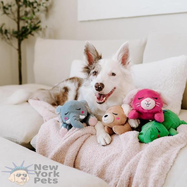 Imagem de Brinquedo Pelúcia Snooziez ZippyPaws Com Apito Silencioso Para Cães e Gatos - Coelho