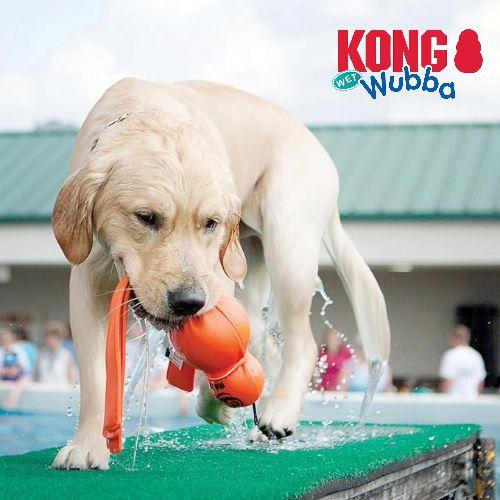 Imagem de Brinquedo pet cães kong wet wubba g g piscina cor sortida