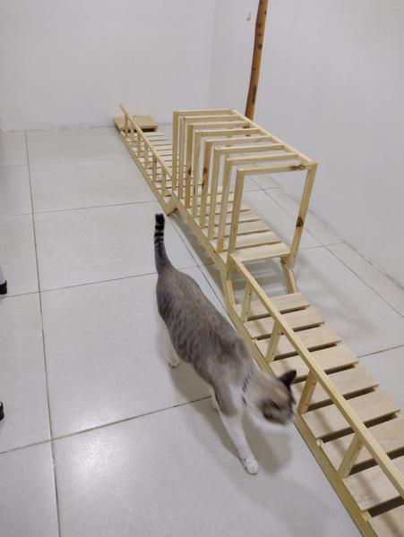 Imagem de Brinquedo ponte passarela para gatos