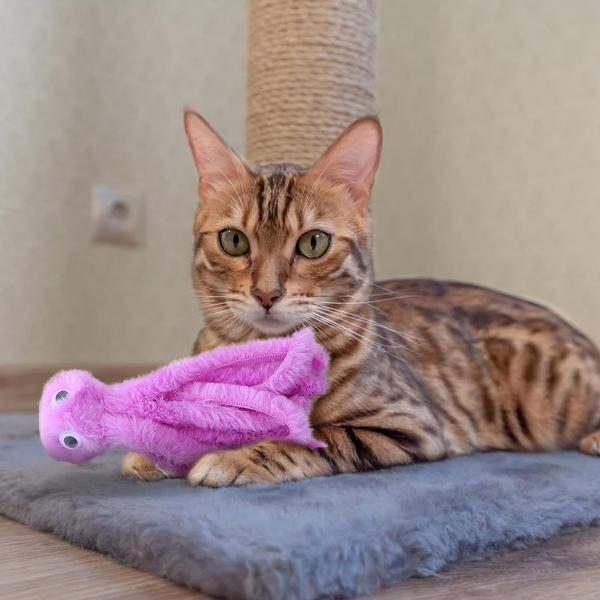 Imagem de Brinquedos de pelúcia para gatos DONGKER em forma de polvo com erva-dos-gatos para gatinhos