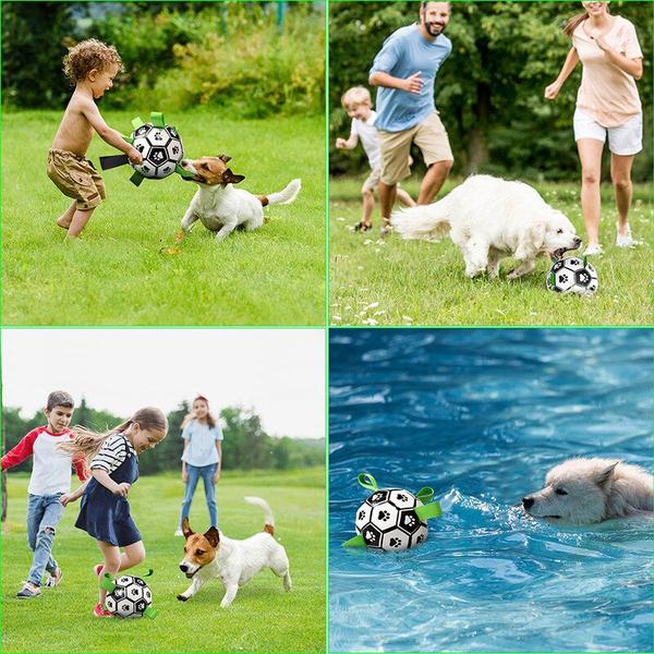 Imagem de Brinquedos interativos de futebol para cães pequenos mordem TPU Ball Pets Brinquedo para Cães Pequenos Acessórios de treinamento de cães ao ar livre Brinquedos de Cachorro