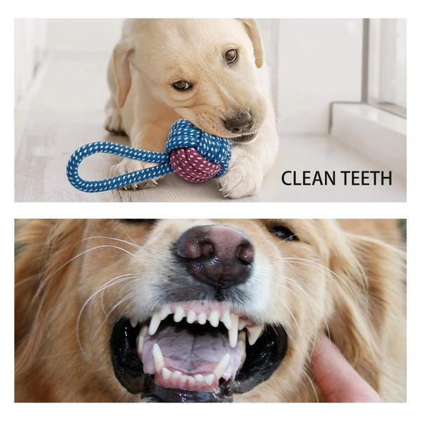 Imagem de Brinquedos para cães Toozey, pacote com 7 para cães pequenos, brinquedos para dentição de cachorros