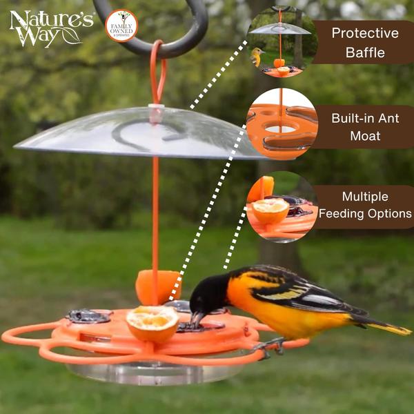 Imagem de Buffet Oriole tudo-em-um para alimentadores de pássaros Nature's Way OFP1