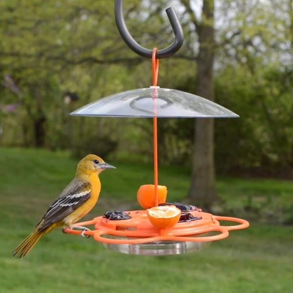 Imagem de Buffet Oriole tudo-em-um para alimentadores de pássaros Nature's Way OFP1