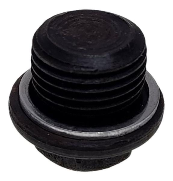 Imagem de Bujão Carter Motor MWM F1000 F4000 F11000 F12000 F14000 F22000 - Rosca 21 mm