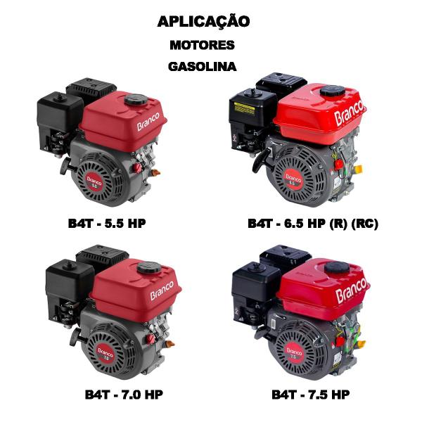 Imagem de Bujão Nível Óleo Motor Gasolina B4T-5.5/6.5/7.0/7.5 HP Branco 19300230