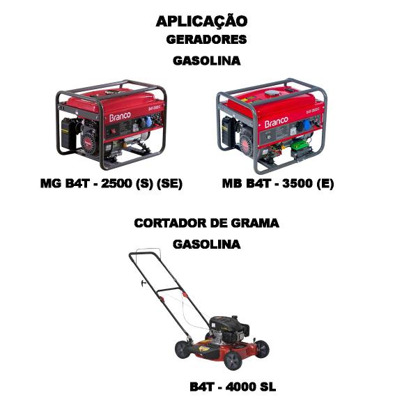 Imagem de Bujão Nível Óleo Motor Gasolina B4T-5.5/6.5/7.0/7.5 HP Branco 19300230