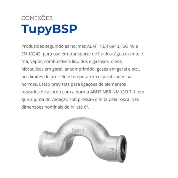 Imagem de Bujão Tupy 2 1/2 Ferro Galvanizado