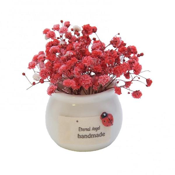 Imagem de Buquê de flores secas de Gypsophila (vermelho) com vasos de porcelana