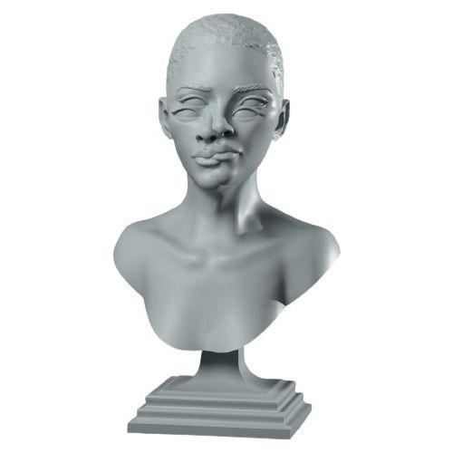 Imagem de Busto Batalha Variada Mente Despedaçada Coleção Impressão 3d