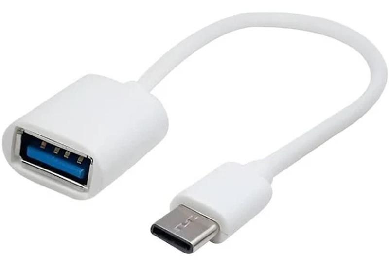 Imagem de CABO TIPO C x USB OTG - S / M