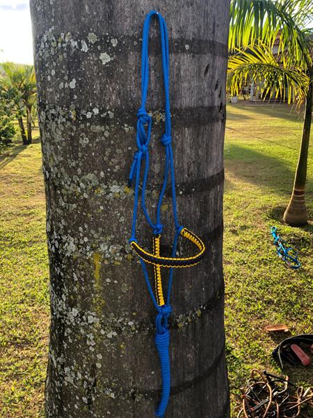 Imagem de Cabresto 7 nós feito em corda de polipropileno - azul