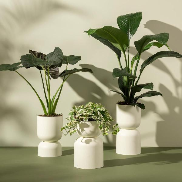 Imagem de Cachepô Vaso Decorativo Grande Raiz Para Plantas Pote 25,7Cm