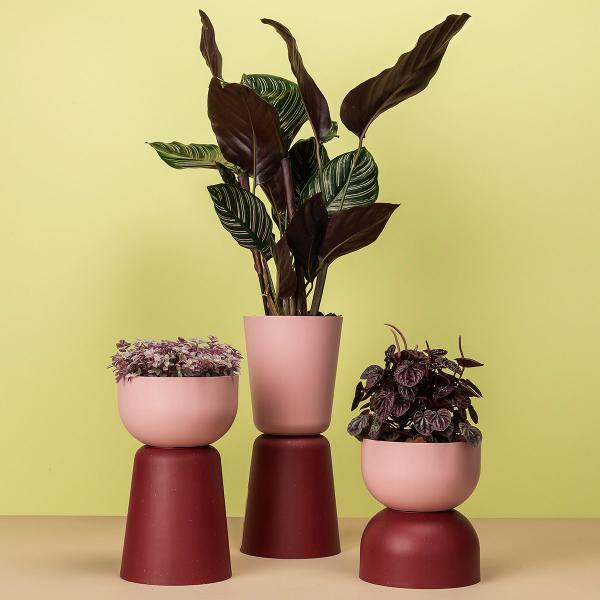 Imagem de Cachepot Due Mini Cuia Pote Ideal p/ Vaso Numero 13 p/ Plantas Raiz Cachepô Encaixe e Decore Cores Variadas