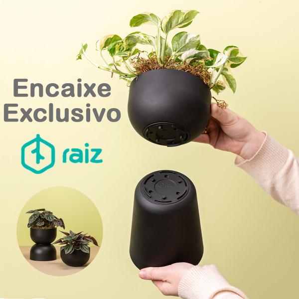 Imagem de Cachepot Due Mini Cuia Pote Ideal p/ Vaso Numero 13 p/ Plantas Raiz Cachepô Encaixe e Decore Cores Variadas