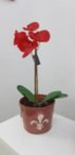 Imagem de Cachepot Flor de Lis 17 x 13 cm