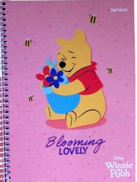 Imagem de Caderno 1 Matéria 80 Folhas Ursinho Pooh Capas Sortidas