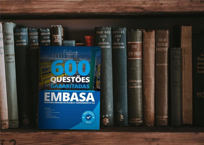 Imagem de Caderno De Questões Embasa - Questões Gabaritadas