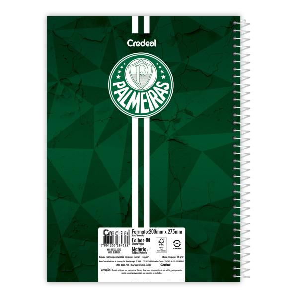 Imagem de Caderno Do Capa Dura Palmeiras Espiral 1 Matéria 80F Escolar