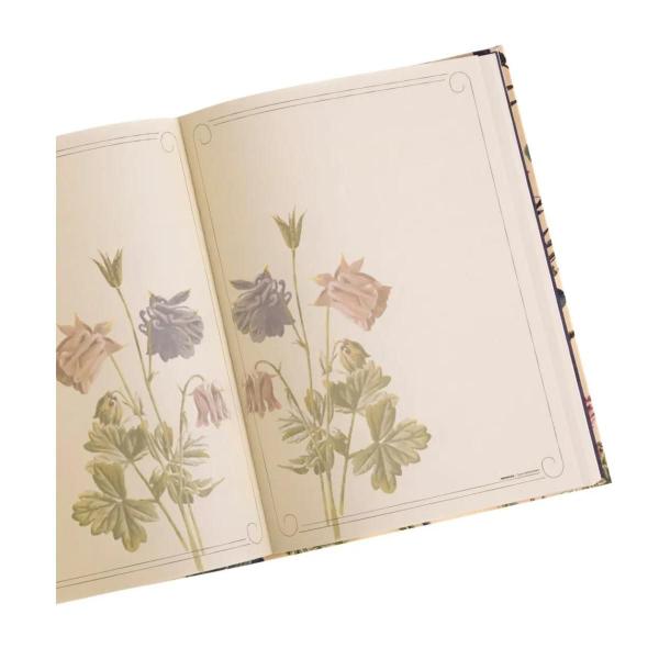 Caderno Flor De Figo 200 Folhas Dani Fernandes E Animativa