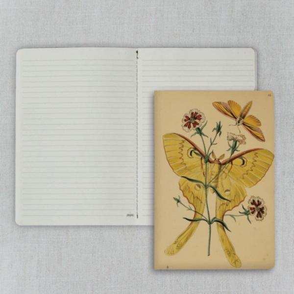 Imagem de Caderno Journal Folk Books 20x13,5 Pautado Lepidopteros de Westwood 