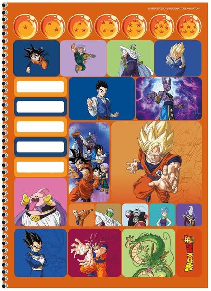 Imagem de Caderno Univ. 80 Fls Dragon Ball Capa 6 - São Domingos