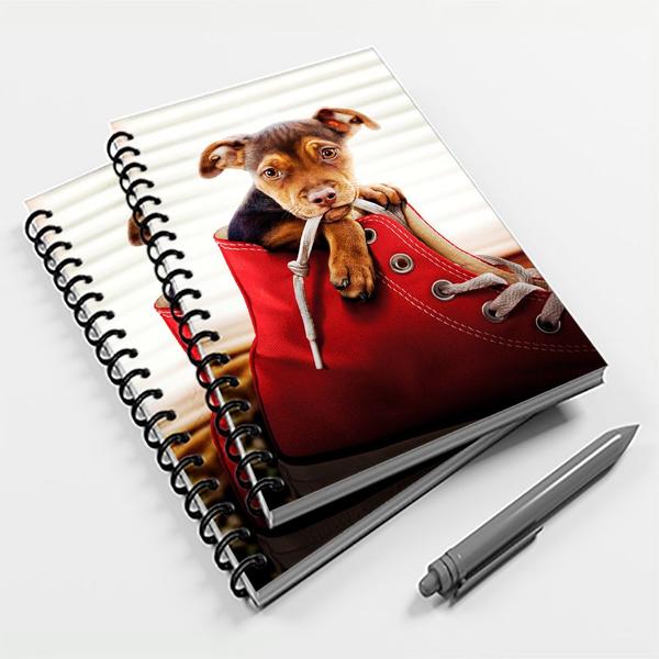 Caderno Universitário 96 Fls Cachorro Pitbull - Premium Imagem de Caderno Universitário 96 Fls Cachorro Pitbull