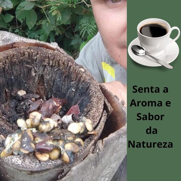 Imagem de Café da Ave Pássaro Jacu Bird 150 Gramas em Grãos Torra Média