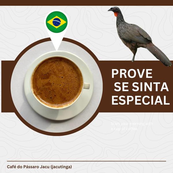 Café do pássaro jacu/café raro reportagem bird gourmet 150 gr - CAFE DO JACU BIRD Imagem de Café do pássaro jacu/café raro reportagem bird gourmet 150 gr